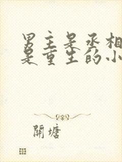 男主是丞相女主是重生的小说