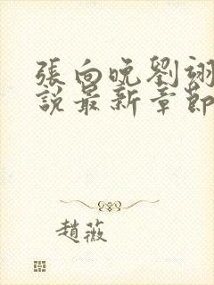 张向晚刘翊京小说最新章节更新时间