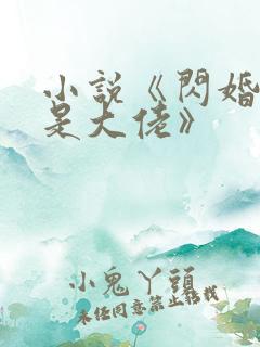小说《闪婚老公是大佬》