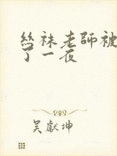 丝袜老师被我操了一夜