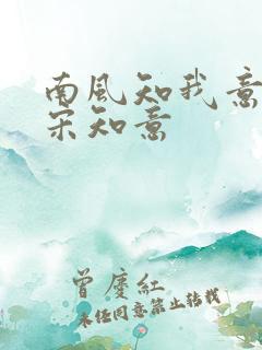 南风知我意小说宋知意
