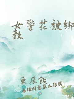 女警花被绑架调教