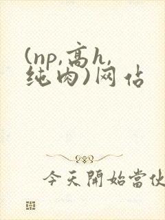 (np,高h,纯肉)网站