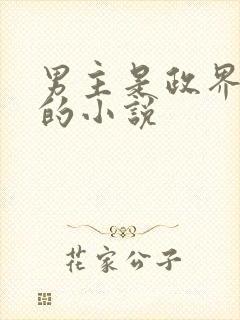 男主是政界大佬的小说