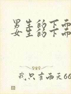 男生的下面插入女生的下面小说