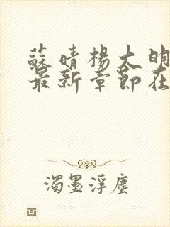 苏晴杨大明小说最新章节在线阅读