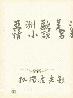 亚洲 欧美 激情 小说 另类