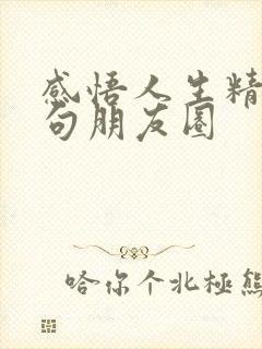 感悟人生精辟短句朋友圈