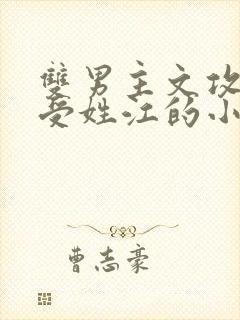 双男主文攻姓陆受姓江的小说