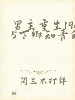 男主重生1965下乡知青的小说