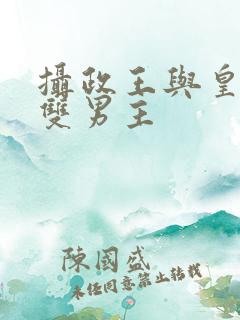 摄政王与皇上的双男主