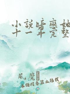 小说暗恋她的第十一年完整版