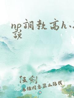 np调教高h小说