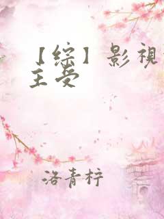 【综】影视快穿主受