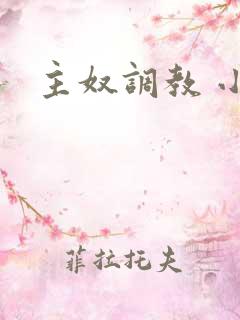 主奴调教 小说