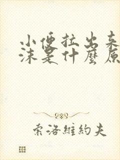 小便拉出来有泡沫是什么原因