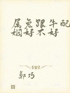 属兔跟牛配的婚姻好不好