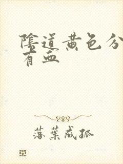 阴道黄色分泌物有血