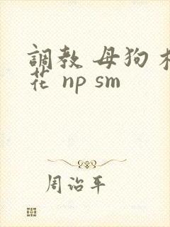 调教 母狗 校花 np sm