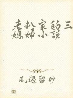 老扒家的三个儿媳妇小说