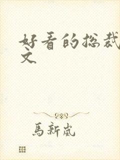 好看的总裁小说文