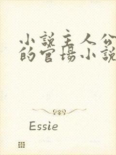 小说主人公李霖的官场小说免费阅读