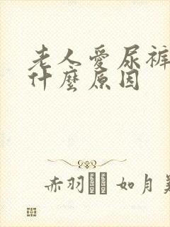 老人爱尿裤子是什么原因