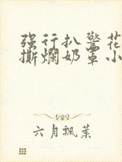 强行扒警花双腿撕烂奶罩小说