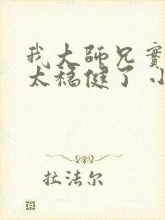 我大师兄实在是太稳健了 小说