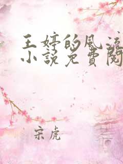 王婷的风流人生小说免费阅读