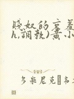 贱奴的哀羞(高h,调教)黄小洁小说