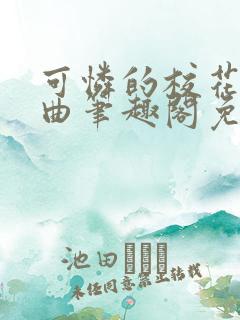 可怜的校花三部曲笔趣阁免费阅读