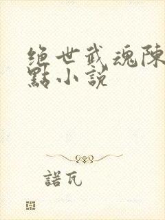 绝世武魂陈枫顶点小说