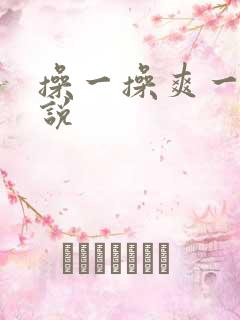 操一操爽一爽小说