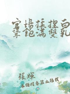 官场揉捏白嫩高耸饱满双乳小说