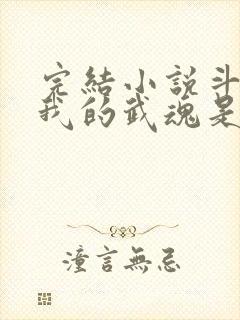 完结小说斗罗之我的武魂是魂环