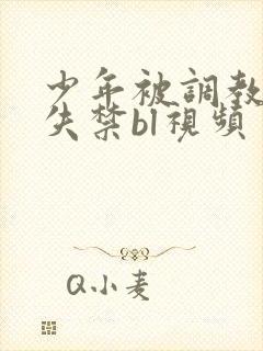 少年被调教爽到失禁bl视频