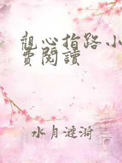 观心指路小说免费阅读