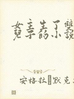 女主生了双胞胎儿子的小说