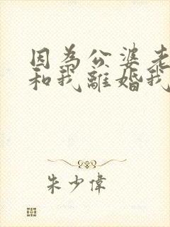 因为公婆老公要和我离婚我该怎么办