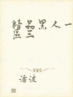精品黑人一区二区三