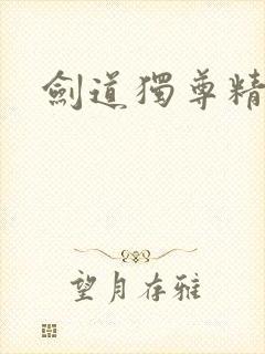 剑道独尊精校版
