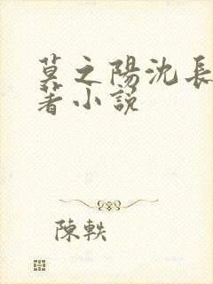 莫之阳沈长留原著小说