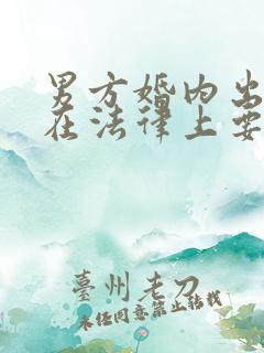 男方婚内出轨,在法律上要承担什么责任