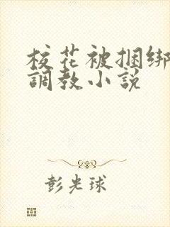 校花被捆绑玩弄调教小说