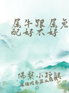 属牛跟属兔的婚配好不好