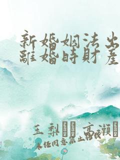 新婚姻法出轨方离婚时财产怎么判