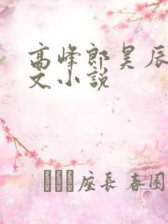 高峰郎昊辰训诫文小说