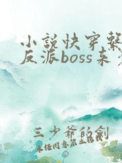 小说快穿系统之反派boss来袭txt