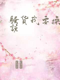 骚货我要操你小说